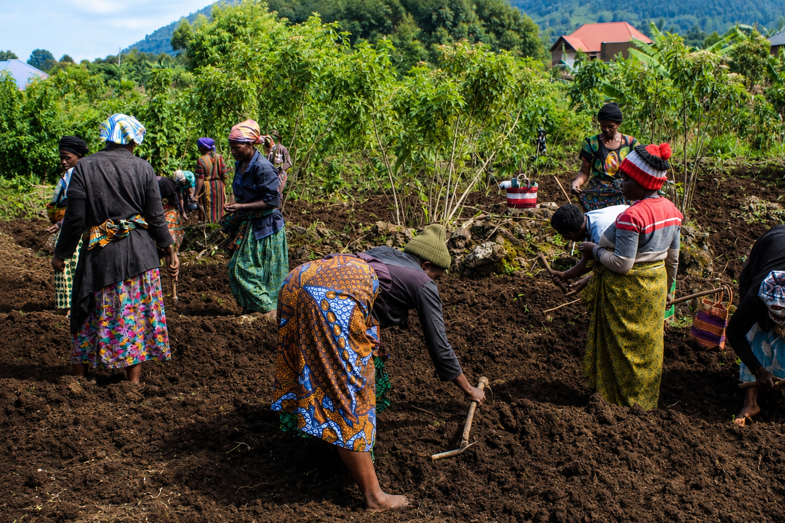Growing our own food in the Kisoro hills